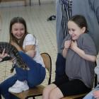 zdjęcie nr 7