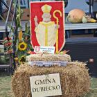 zdjęcie nr 17