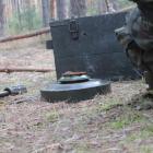 Fotka nr 5 z 8