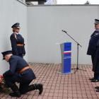 zdjęcie nr 8