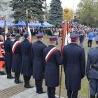 zdjęcie nr 21
