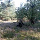 Fotka nr 1 z 14