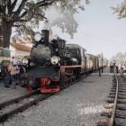 zdjęcie nr 12