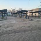 FOT. ZW