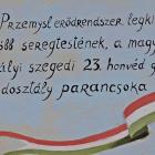 zdjęcie nr 10