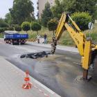 zdjęcie nr 17