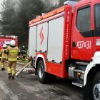 Fotka nr 4 z 11