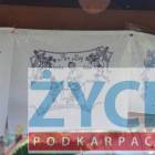 Fotka nr 4 z 5