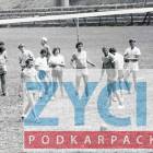 zdjęcie nr 8