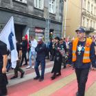 zdjęcie nr 23