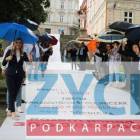 zdjęcie nr 14
