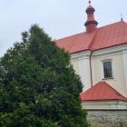 zdjęcie nr 50