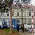 zdjęcie nr 16
