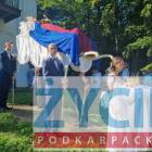 zdjęcie nr 7