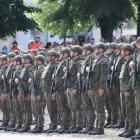 Fotka nr 1 z 172