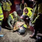 Fotka nr 5 z 15