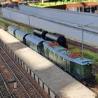 FOT. U. Gielo