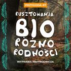 zdjęcie nr 9