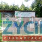 zdjęcie nr 8