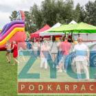 Fotka nr 2 z 3