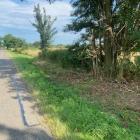 fot. nadesłane przez Czytelnika