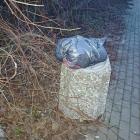 Fotka nr 0 z 1
