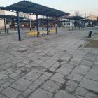 FOT. ZW
