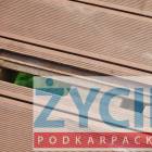 zdjęcie nr 7