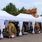 zdjęcie nr 7