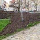 zdjęcie nr 8