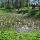 FOT. UMiG Bircza