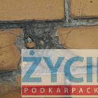 zdjęcie nr 15