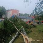 Fotka nr 5 z 8