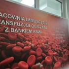 zdjęcie nr 12