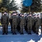 Fotka nr 3 z 11