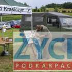 Fotka nr 3 z 15