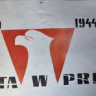 zdjęcie nr 17