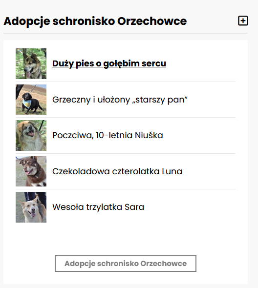 Zakładka na portalu www.zycie.pl Adopcje schronisko Orzechowce