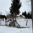 zdjęcie nr 