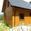 zdjęcie nr 