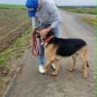 zdjęcie nr 