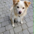 zdjęcie nr 