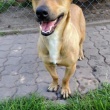 zdjęcie nr 