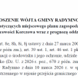 zdjęcie nr 