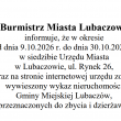 zdjęcie nr 