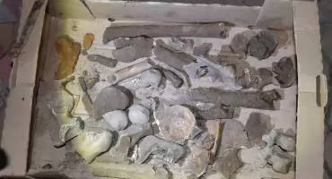 Zapałów: Toprağı işliyordu. Savaş sonrası mühimmat ve insan kalıntılarına rastladı.