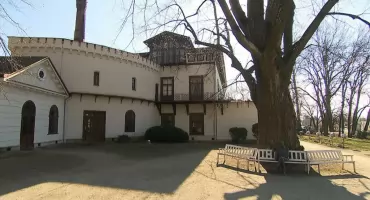 Przeworsk: 320-letnia lipa powalczy o miano „Drzewa Roku”!
