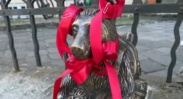 Nowy miś w rodzinie. Poznajcie Henia! [ZDJECIA]