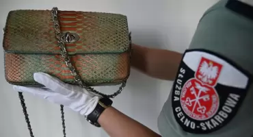 Galanteria ze skór chronionych gatunków zatrzymana na przejściu w Malhowicach [ZOBACZ ZDJĘCIA]