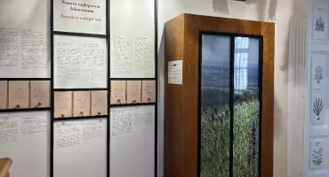Miejsce, gdzie historia spotyka się z naturą [ZDJĘCIA]